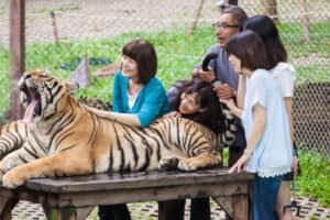 Tips Berlibur ke Kebun Binatang Bersama Keluarga